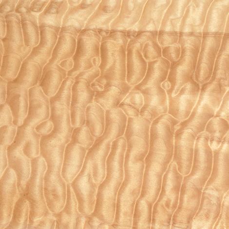 Quilted maple